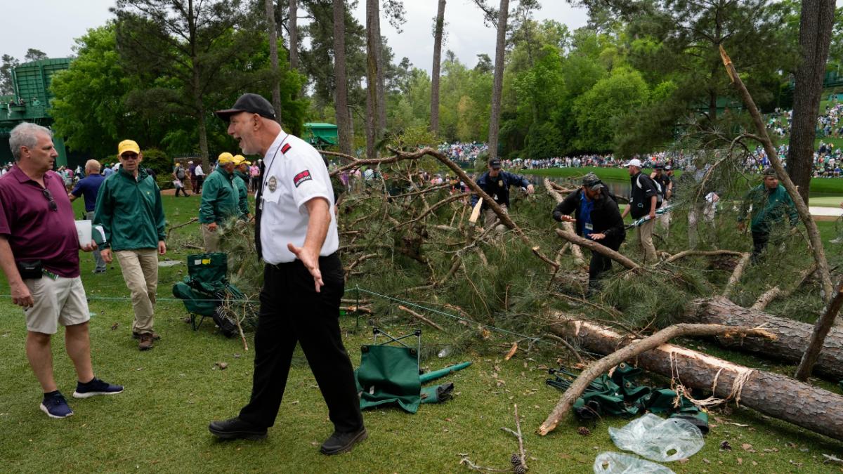 augusta trees fall